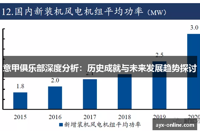 意甲俱乐部深度分析：历史成就与未来发展趋势探讨