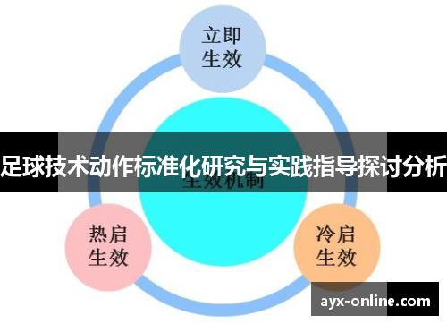 足球技术动作标准化研究与实践指导探讨分析